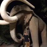Robert Zabel - @robert_zabel - Instagram