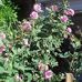 Robbie Zeise - Facebook