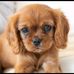 Robert Zeitler - Facebook