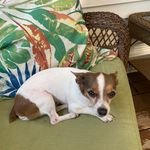 Robert Zelinski - @coachbobzelinski - Instagram