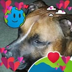 Robert Zerby - Facebook
