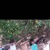 robert zerrudo - @robertzerrudo995 - TikTok