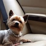 Roberta Barberio - @roberta.barberio - Instagram