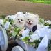 Roberta Bass - Facebook