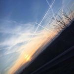 Roberta Bauer - @roberta.bauer.37 - Instagram
