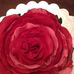 Roberta Bauer - Facebook