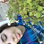 roberta j. bloom - @roberta.thehangingplant - Instagram