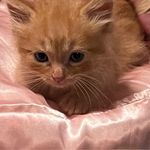Roberta Brooks - @robertabrooks3896 - Instagram