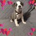 Roberta Burr - Facebook