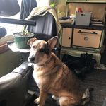 Roberta Burr - @burr8954 - Instagram