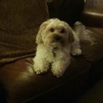 roberta Burton - @robertaburton1953 - Instagram