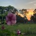 Roberta Campbell - Facebook