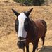 Roberta Campbell - Facebook