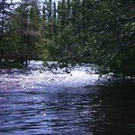 Roberta Carlson - @walleye5679 - Instagram