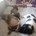 Roberta Carroll - Facebook
