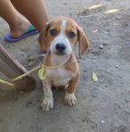 Roberta Cervantes - Facebook