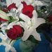Roberta Cote - Facebook