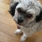 Roberta Craig - @roberta.craig.50 - Instagram