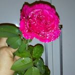 Roberta David - @roberta.david.1614 - Instagram