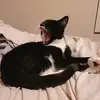 robertadixon04 - @robertadixon04 - TikTok