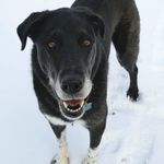 Roberta Duncan - @roberta.duncan.1253 - Instagram