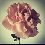GeorginaDyer - @robertadyer13 - Instagram