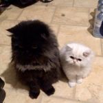 Roberta - @roberta.ewing3 - Instagram