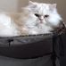 Roberta Ewing - Facebook