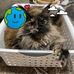 Roberta Fleming - Facebook