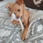 Roberta Fowler - @robertafowler832 - Instagram