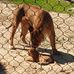 Roberta Frey - Facebook