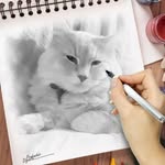 Roberta Gallegos - @rmcg.tiger - Instagram