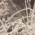 Roberta Gordon - @smirts64 - Instagram