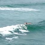Roberta Hall - @birdieann59 - Instagram