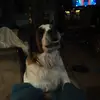 Roberta Hamm - @roberta.hamm - TikTok