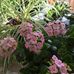 Roberta Harrington Turner - Facebook