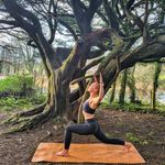 Roberta Harrington Yoga - @bobbybyrobertaharryoga - Instagram