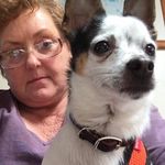 Roberta Bobbe Horne - @bobbeandpooh - Instagram