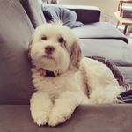 Roberta Horne - @tily_doodle - Instagram