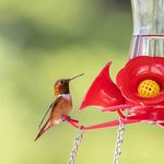 Roberta Muhlbeier Horne - @sunflare_images - Instagram