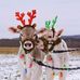 Roberta Hubbard - Facebook