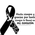 Roberta Jimenez - @robertajimenez160 - Instagram