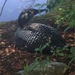 Roberta Kane - @rktknj528 - Instagram