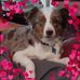 Roberta Kauffman - Facebook