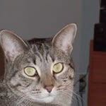 Roberta Keenan - @keenanroberta - Instagram