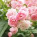 Roberta Kent - Facebook