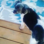 Roberta Keys - @robertakeys - Instagram