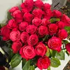 user9284561981330 - @robertakhan20 - TikTok