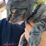 Allison Roberta Lowe - @alliethecat2014 - Instagram