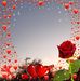 Roberta Lozano - Facebook